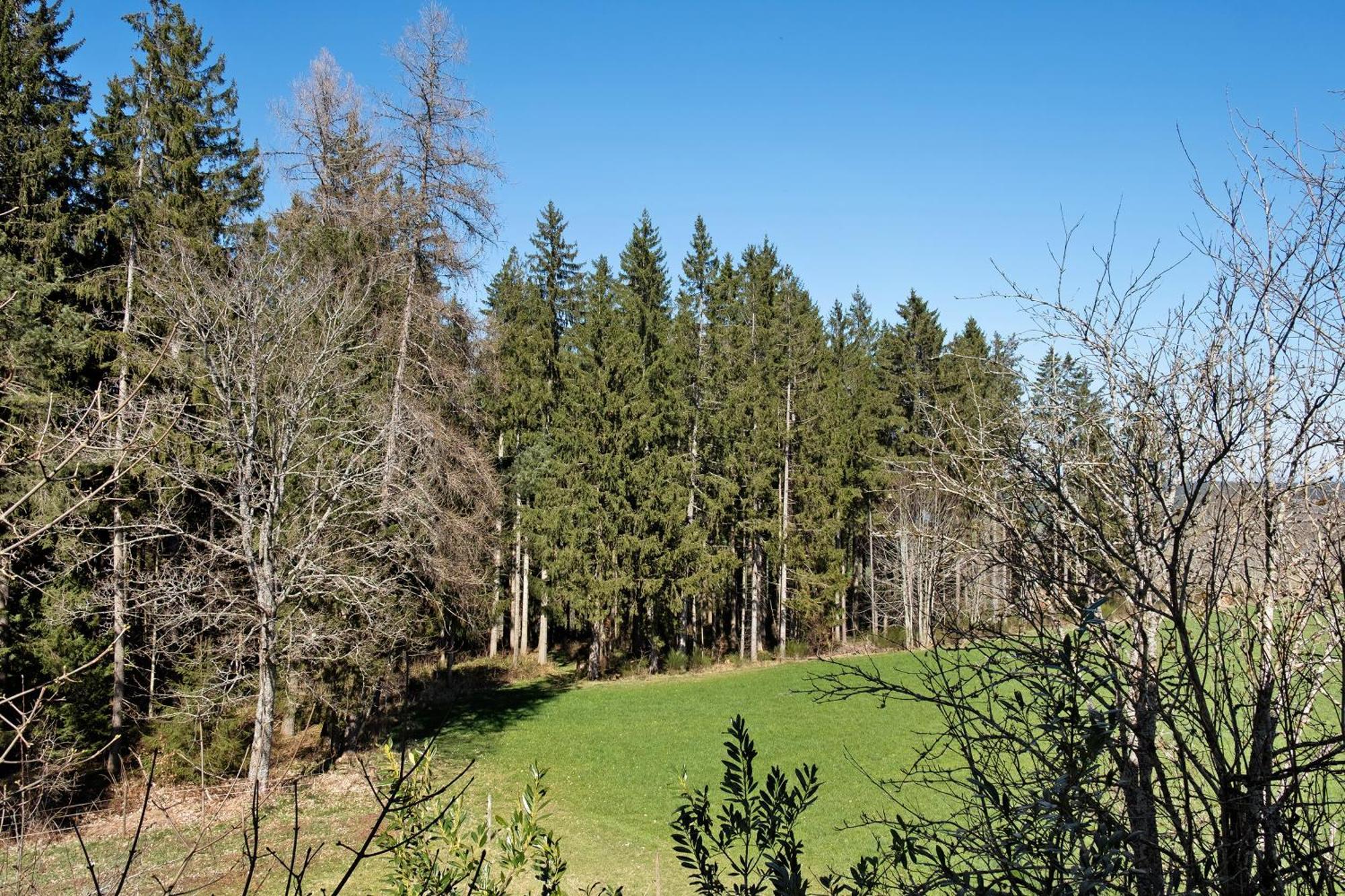 Ferienwohnung Schartenschmiede Sankt Georgen im Schwarzwald Εξωτερικό φωτογραφία